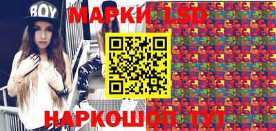 крисы Краснодар