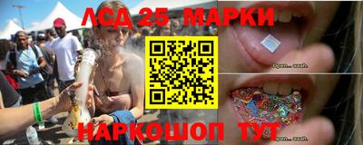 крисы Краснодар