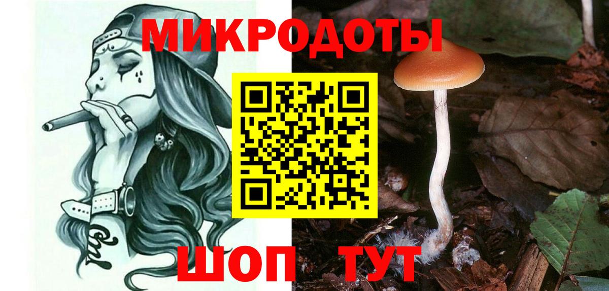 Псилоцибиновые грибы Psilocybine cubensis Острогожск